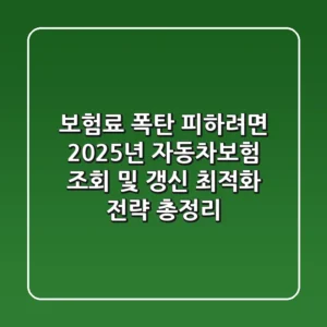 "보험료 폭탄 피하려면?", 2025년 자동차보험 조회 및 갱신 최적화 전략 총정리