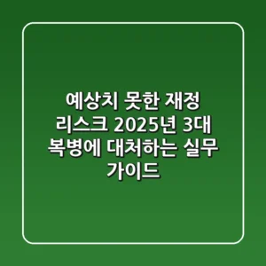 "예상치 못한" 재정 리스크, 2025년 3대 복병에 대처하는 실무 가이드