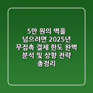 "5만 원의 벽을 넘으려면?", 2025년 무접촉 결제 한도 완벽 분석 및 상향 전략 총정리