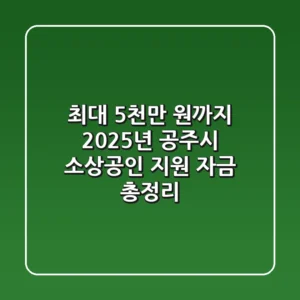 "최대 5천만 원까지", 2025년 공주시 소상공인 지원 자금 총정리