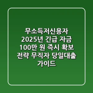 "무소득·저신용자" 2025년 긴급 자금 100만 원 즉시 확보 전략, 무직자 당일대출 가이드