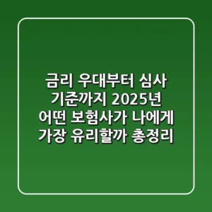 "금리 우대부터 심사 기준까지", 2025년 어떤 보험사가 나에게 가장 유리할까 총정리