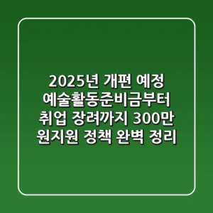 "2025년 개편 예정", 예술활동준비금부터 취업 장려까지 300만 원지원 정책 완벽 정리