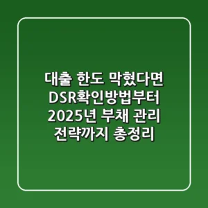 "대출 한도 막혔다면?", DSR확인방법부터 2025년 부채 관리 전략까지 총정리