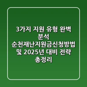 "3가지 지원 유형 완벽 분석", 순천재난지원금신청방법 및 2025년 대비 전략 총정리