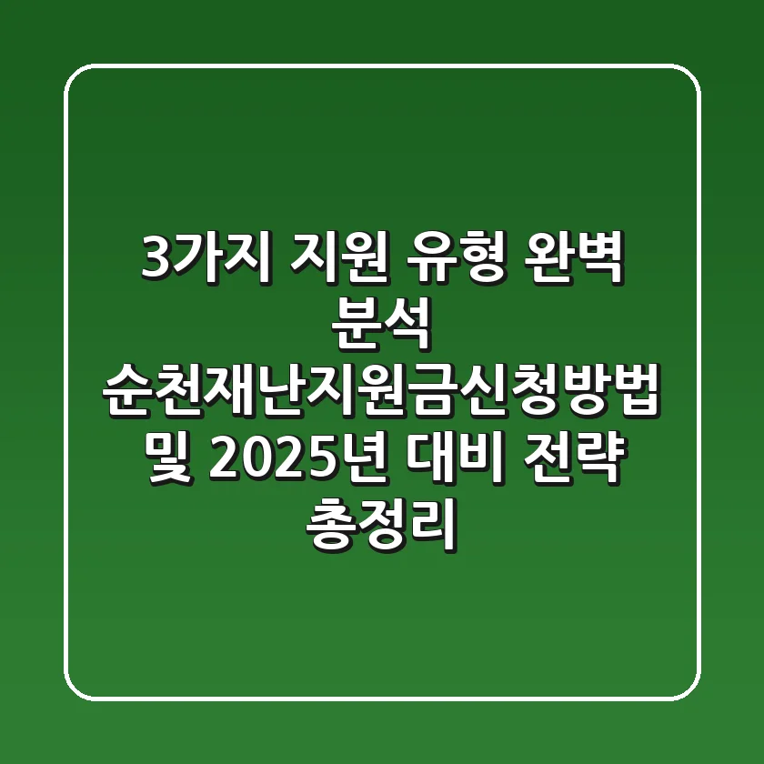 "3가지 지원 유형 완벽 분석", 순천재난지원금신청방법 및 2025년 대비 전략 총정리